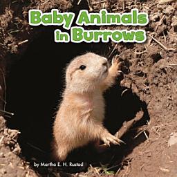 Icon image Baby Animals in Burrows