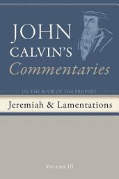 Icon image Commentaries on the Book of the Prophet Jeremiah and the Lamentations, Volume 3