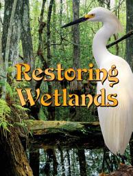 Icon image Restoring Wetlands