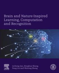 Icon image Brain and Nature-Inspired Learning, Computation and Recognition