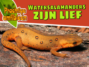 Icon image Watersalamanders zijn lief