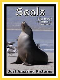 Icon image Just Seals! vol. 1: Big Book of Seal Photographs & Pictures