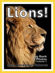 Icon image Just Lions! vol. 1: Big Book of Lion King of The Jungle Photographs & Pictures