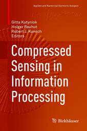 Icon image Compressed Sensing in Information Processing