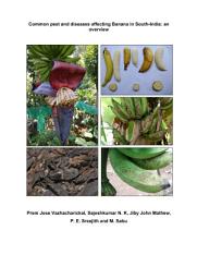 Icon image Common pest and diseases affecting Banana in South-India: an overview