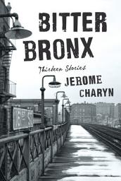 Icon image Bitter Bronx: Thirteen Stories