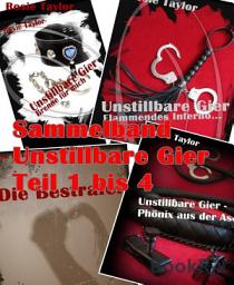 Icon image Sammelband Unstillbare Gier Teil 1 bis 4