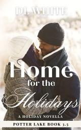 Icon image Home for the Holidays: A Potter Lake Small Town Romance