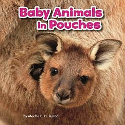 Icon image Baby Animals in Pouches