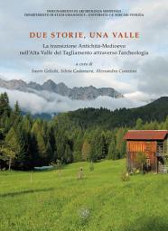 Icon image Due storie, una valle. La transizione Antichità-Medioevo nell’Alta Valle del Tagliamento attraverso l’archeologia