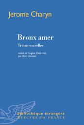 Icon image Bronx amer. Treize nouvelles