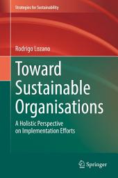 Icon image Toward Sustainable Organisations: A Holistic Perspective on Implementation Efforts