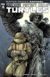 Icon image Teenage Mutant Ninja Turtles Macro-Series