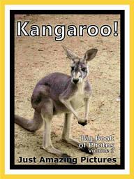 Icon image Just Kangaroos! vol. 1: Big Book of Kangaroo Photographs & Pictures