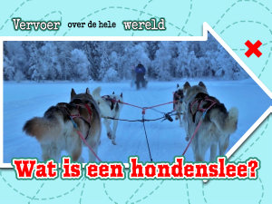 Icon image Wat is een hondenslee?