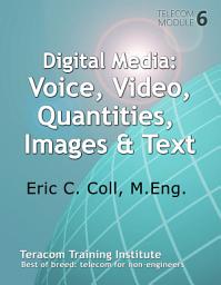 Icon image Digital Media: Voice, Video, Images, Quantities, Text