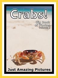 Icon image Just Crabs! vol. 1: Big Book of Photographs & Beach Crab Pictures