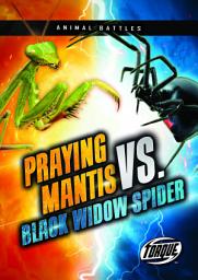 Icon image Praying Mantis vs. Black Widow Spider