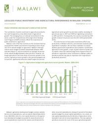 Icon image Localized public investment and agricultural performance in Malawi: Synopsis