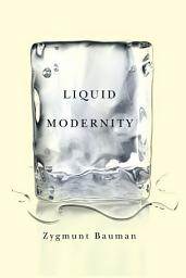 Icon image Liquid Modernity