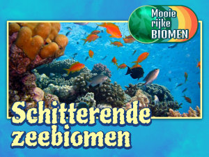 Icon image Schitterende zeebiomen