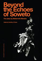 Icon image Beyound The Echoes Of Soweto