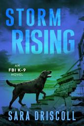 Icon image Storm Rising