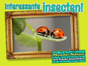 Icon image Interessante insecten!