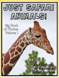 Icon image Just Safari Animals! vol. 1: Big Book of Jungle Safari Animal Photographs & Pictures