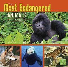 Icon image Most Endangered Animals in the World